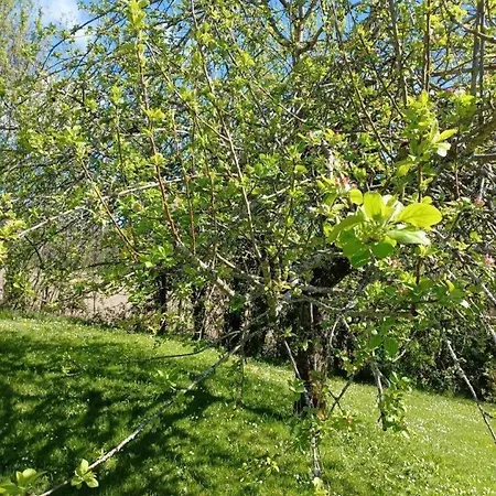 Vakantiehuis Auralite - Le Triangle D'emeraude