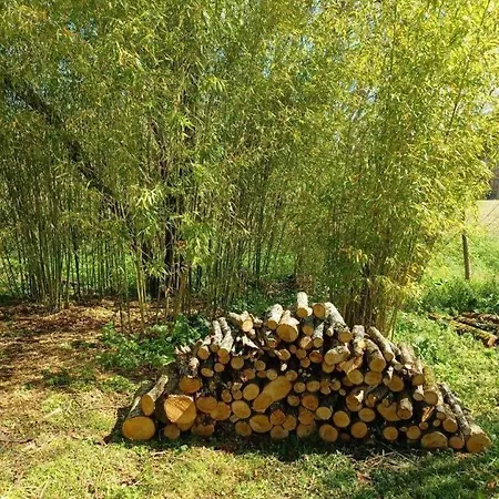 Auralite - Le Triangle D'emeraude Bertric-Burée