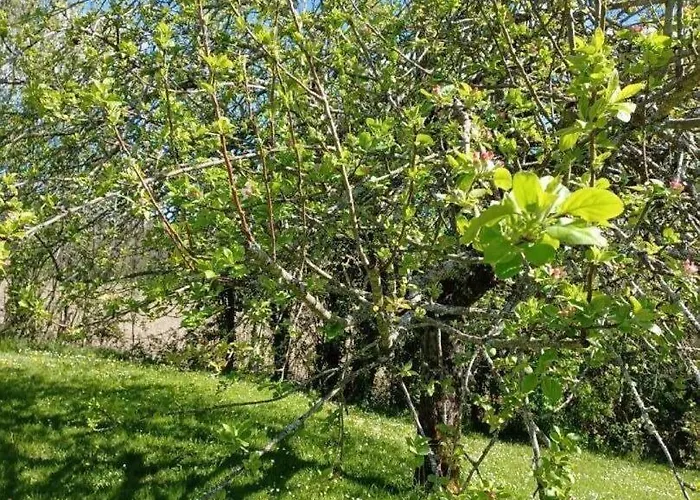 Vakantiehuis Auralite - Le Triangle D'emeraude