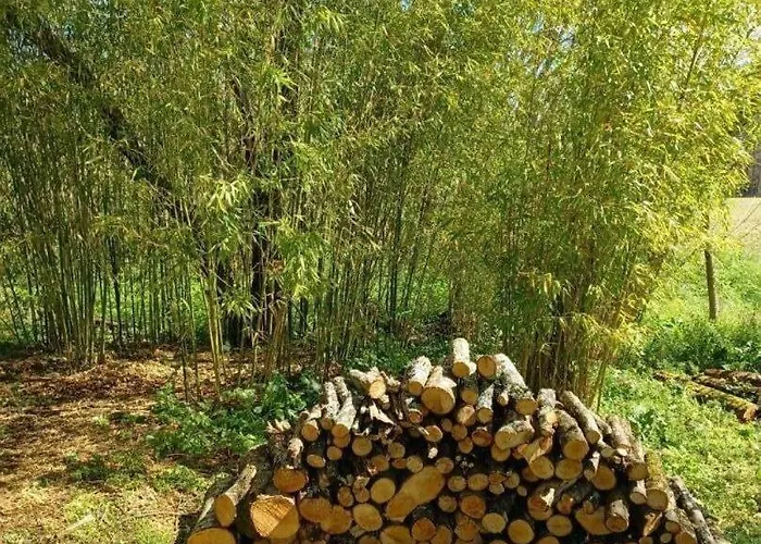 Auralite - Le Triangle D'emeraude Bertric-Burée